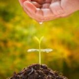 Why Spiritual Maturity Matters in Every Believer’s Life
